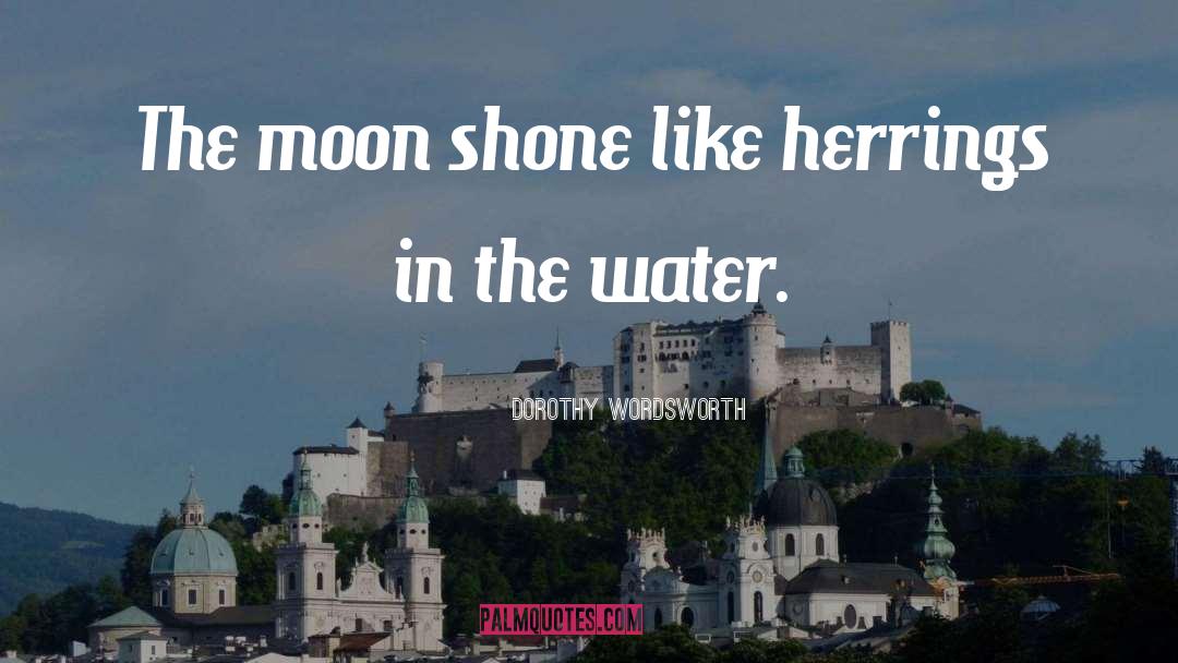 Dorothy Wordsworth Quotes: The moon shone like herrings