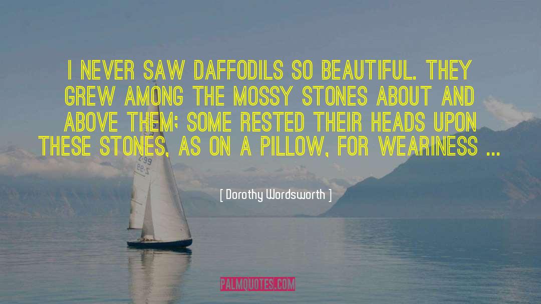Dorothy Wordsworth Quotes: I never saw daffodils so