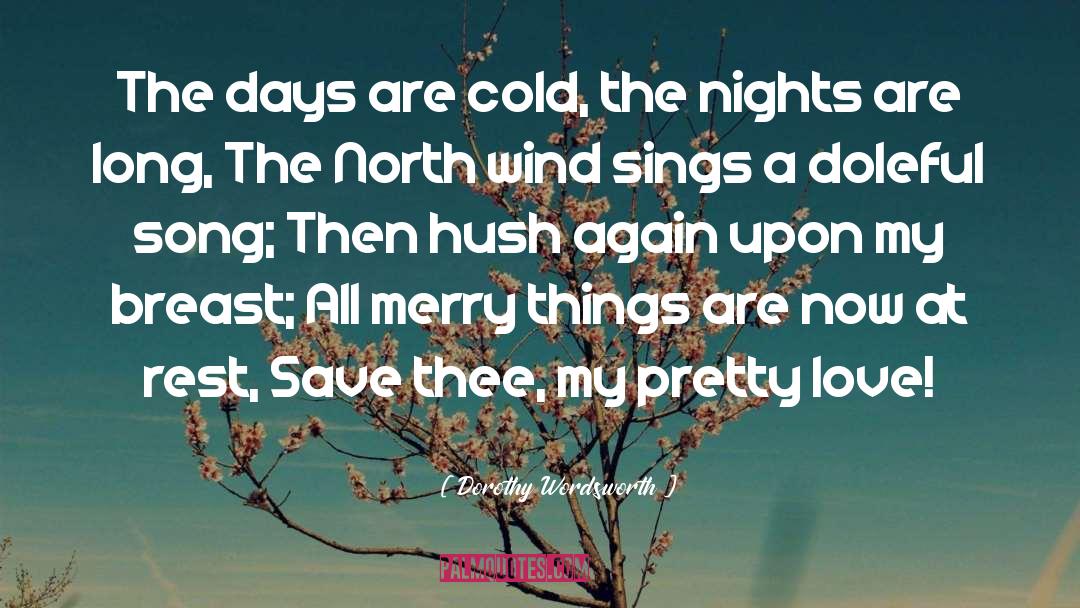 Dorothy Wordsworth Quotes: The days are cold, the