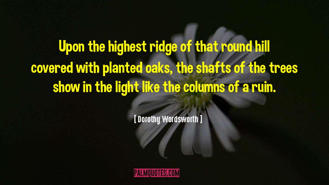 Dorothy Wordsworth Quotes: Upon the highest ridge of