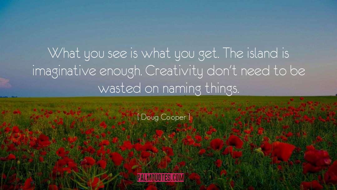 Doug Cooper Quotes: What you see is what