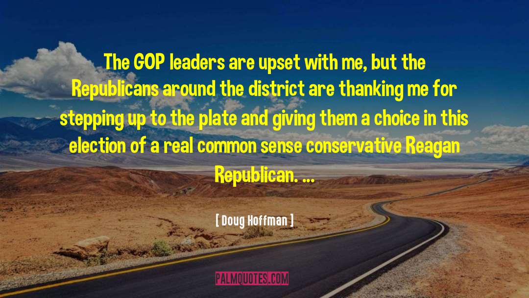 Doug Hoffman Quotes: The GOP leaders are upset