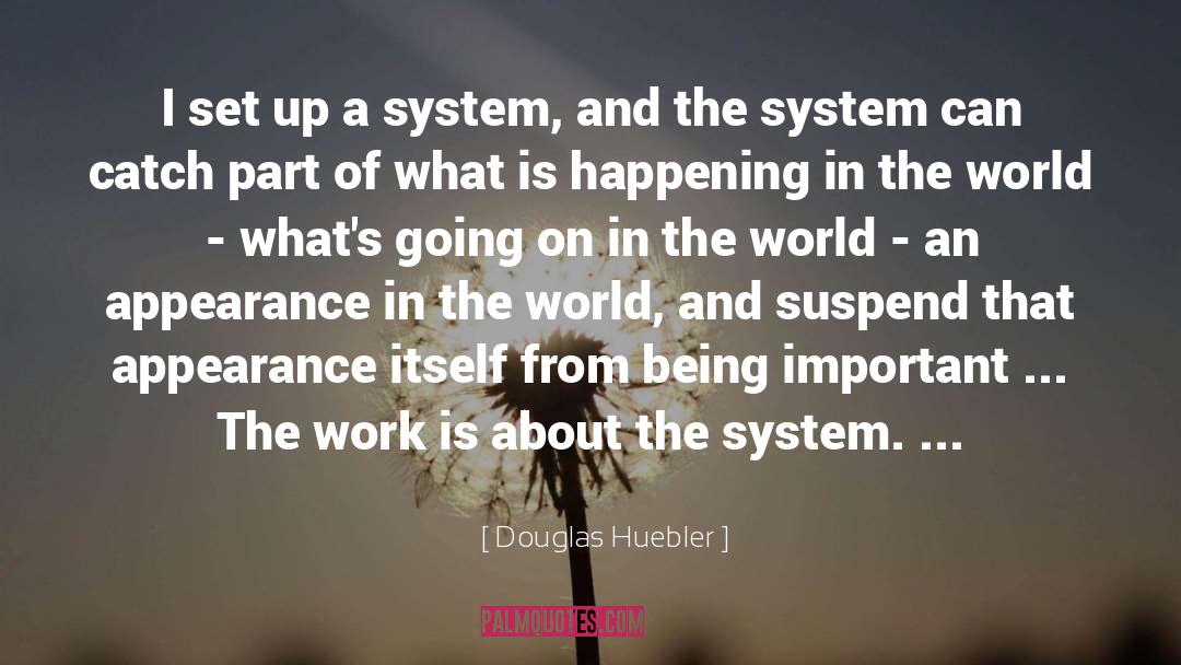 Douglas Huebler Quotes: I set up a system,