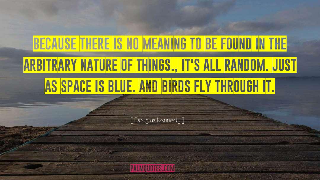 Douglas Kennedy Quotes: Because there is no meaning