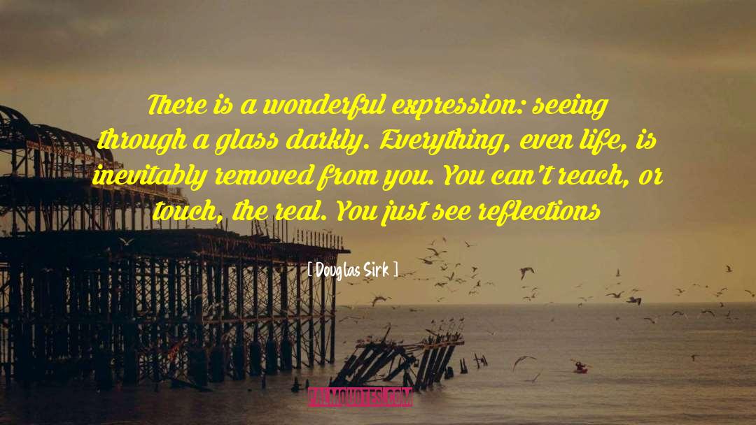 Douglas Sirk Quotes: There is a wonderful expression: