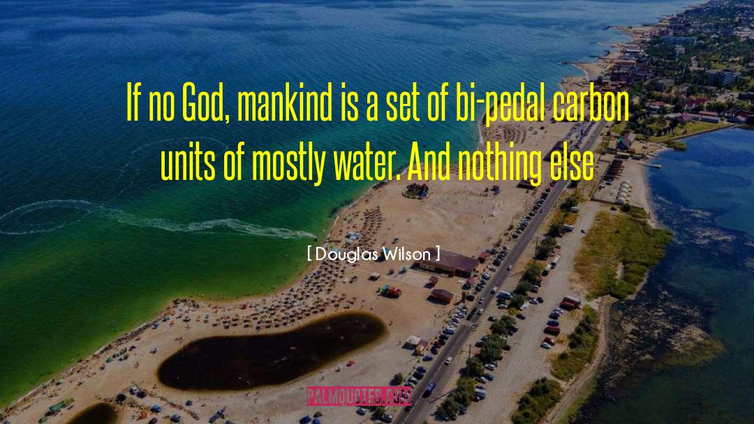 Douglas Wilson Quotes: If no God, mankind is