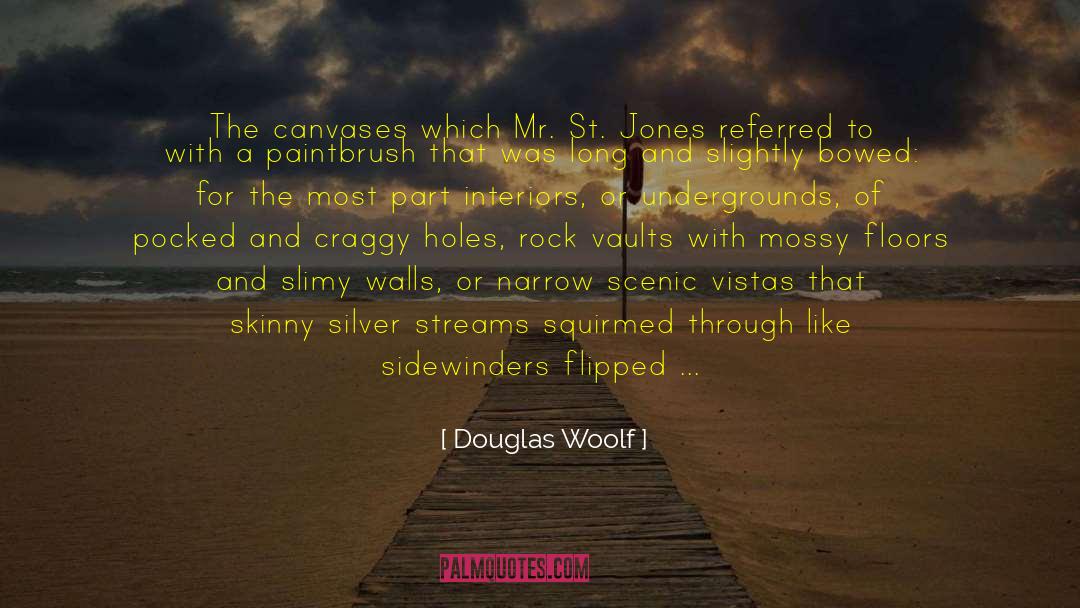 Douglas Woolf Quotes: The canvases which Mr. St.