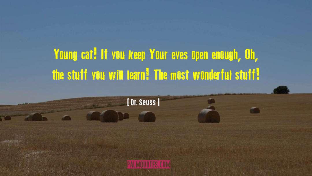 Dr. Seuss Quotes: Young cat! If you keep