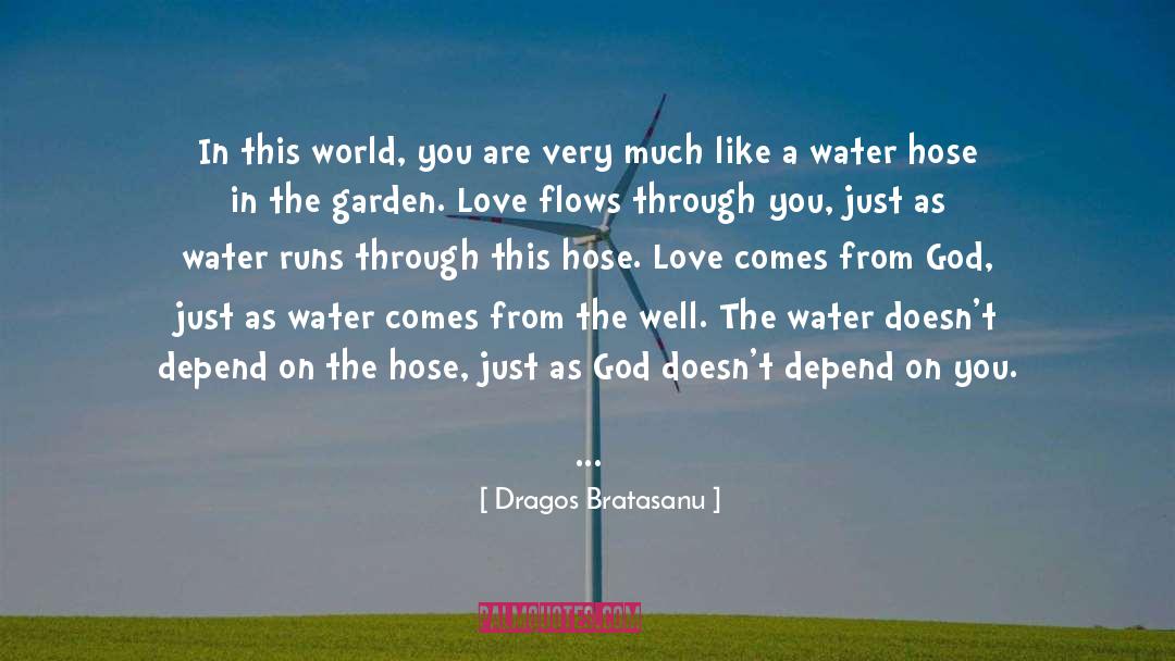 Dragos Bratasanu Quotes: In this world, you are