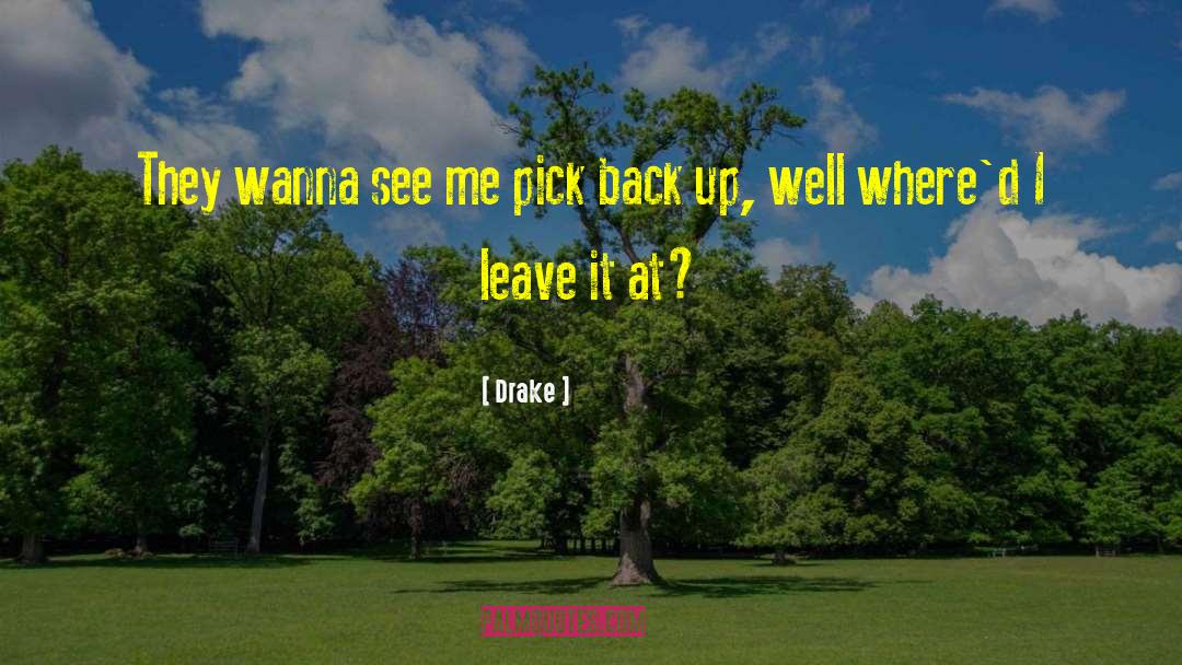 Drake Quotes: They wanna see me pick