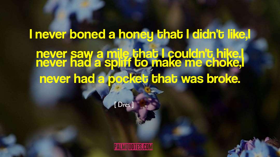 Dres Quotes: I never boned a honey