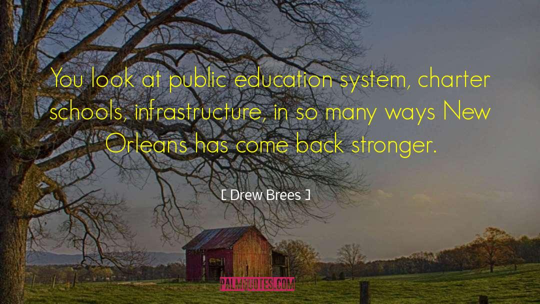 Drew Brees Quotes: You look at public education