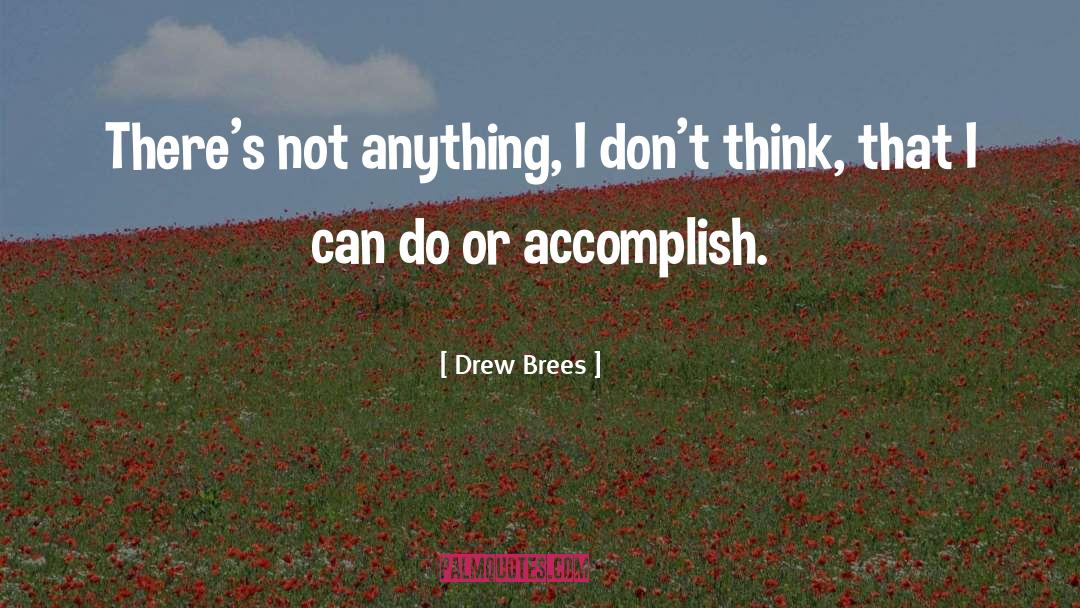 Drew Brees Quotes: There's not anything, I don't