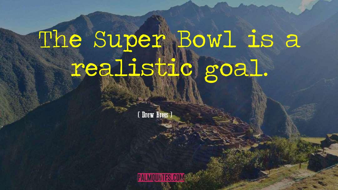 Drew Brees Quotes: The Super Bowl is a
