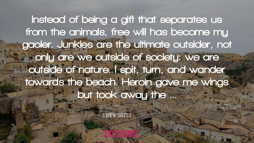 Drew Gates Quotes: Instead of being a gift