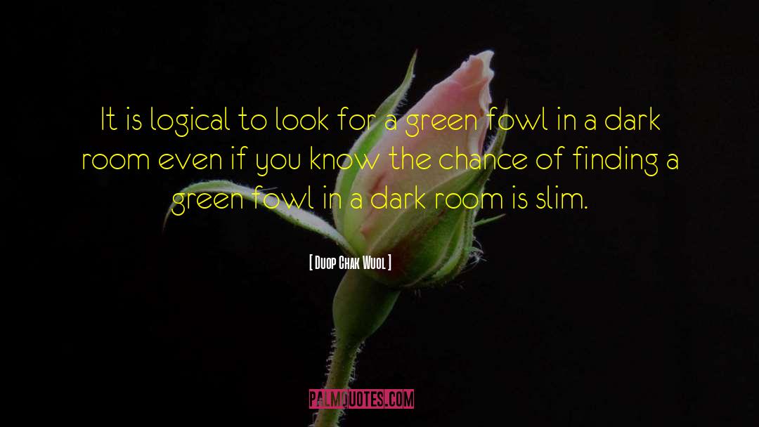 Duop Chak Wuol Quotes: It is logical to look