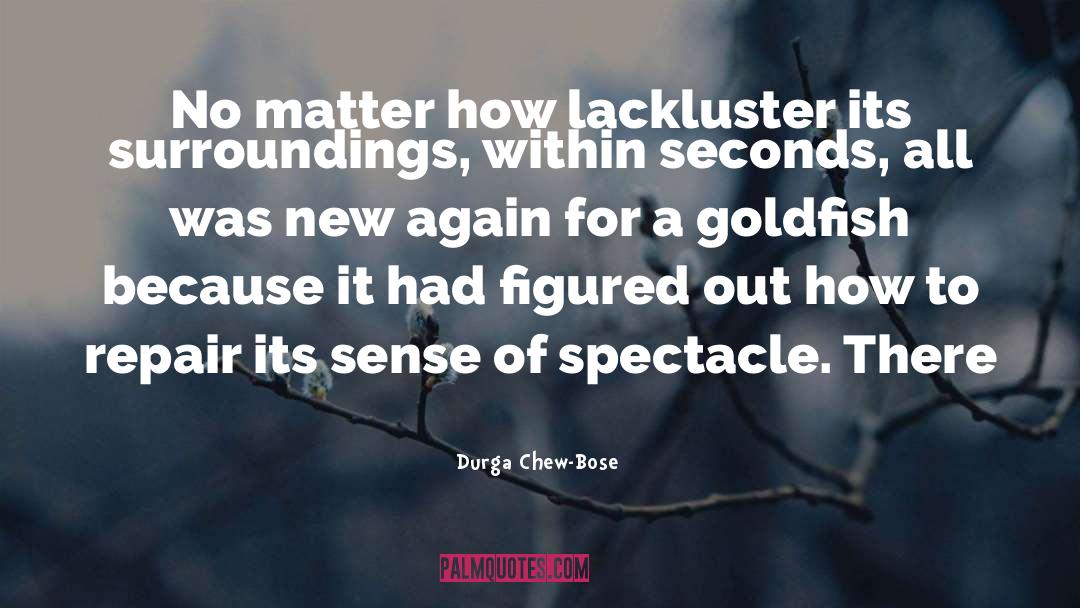 Durga Chew-Bose Quotes: No matter how lackluster its