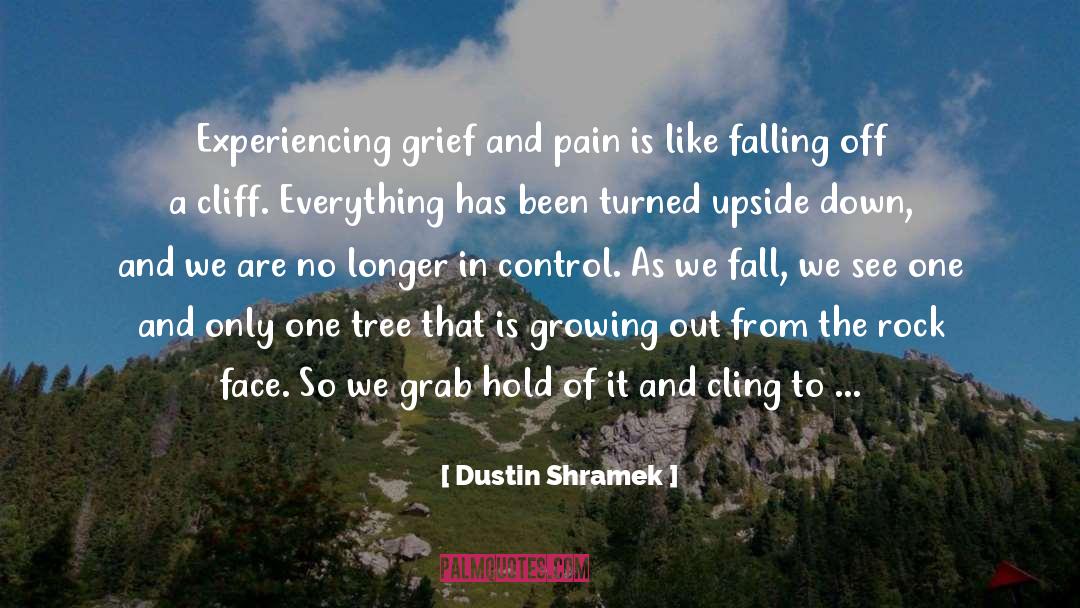 Dustin Shramek Quotes: Experiencing grief and pain is