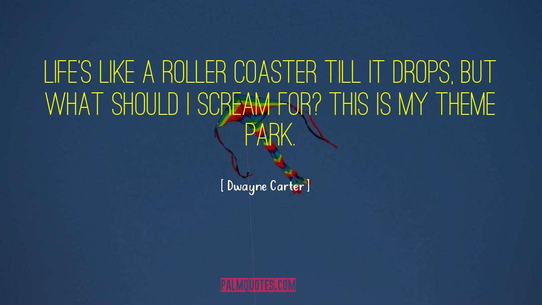 Dwayne Carter Quotes: Life's like a roller coaster