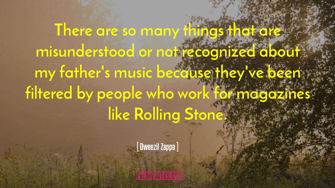 Dweezil Zappa Quotes: There are so many things