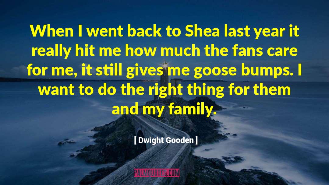 Dwight Gooden Quotes: When I went back to