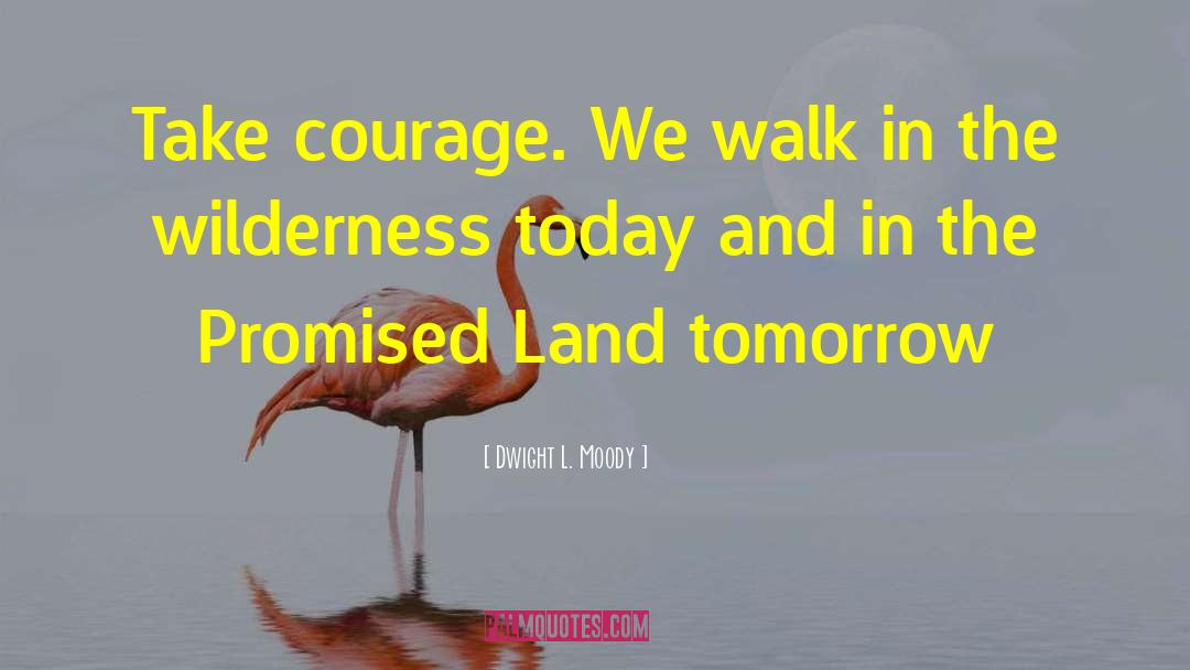 Dwight L. Moody Quotes: Take courage. We walk in