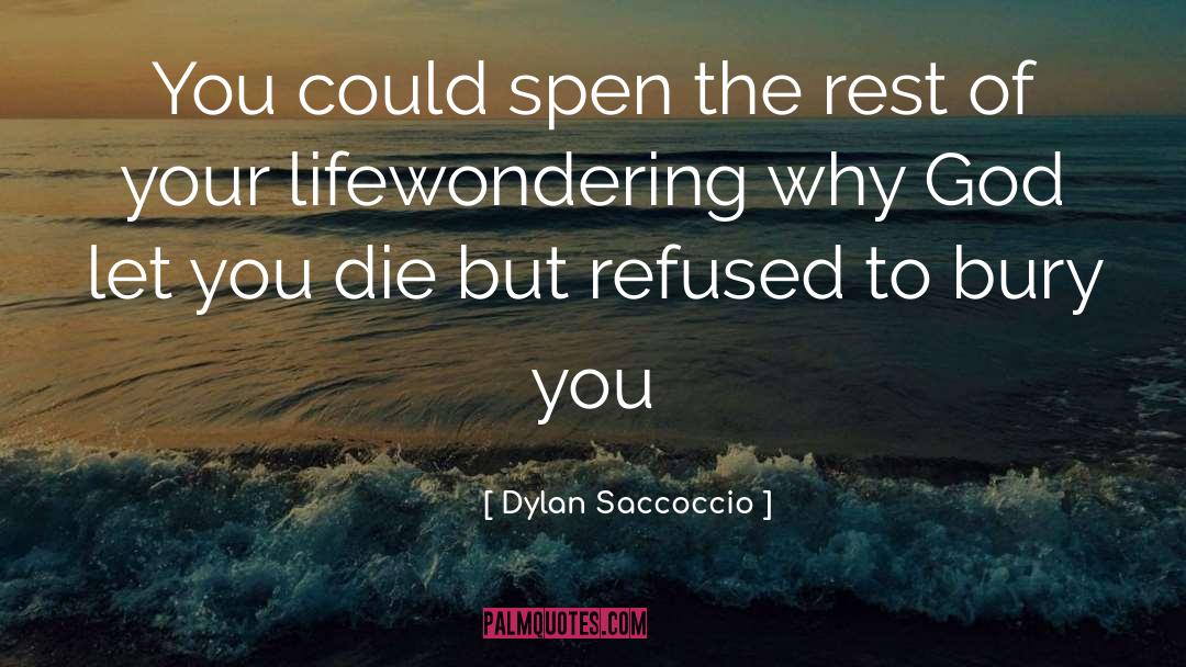 Dylan Saccoccio Quotes: You could spen the rest