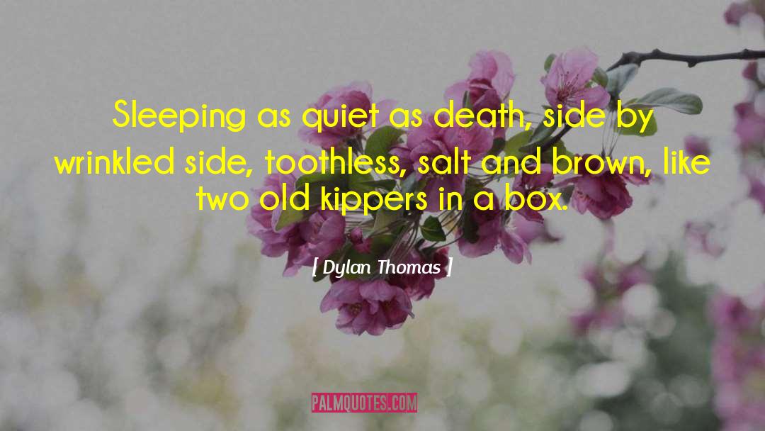 Dylan Thomas Quotes: Sleeping as quiet as death,