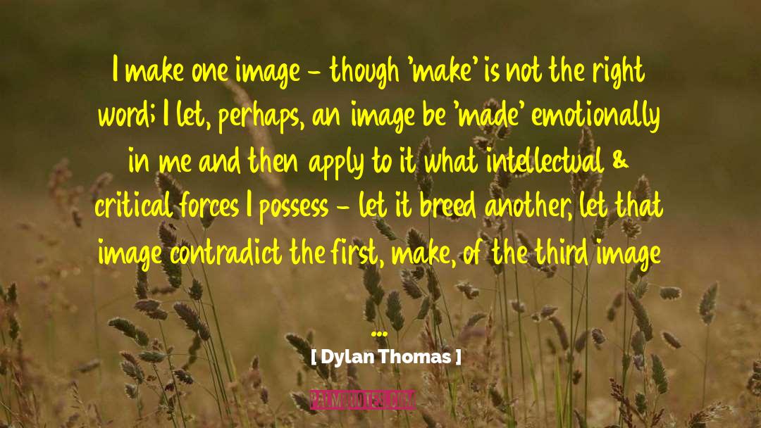 Dylan Thomas Quotes: I make one image -