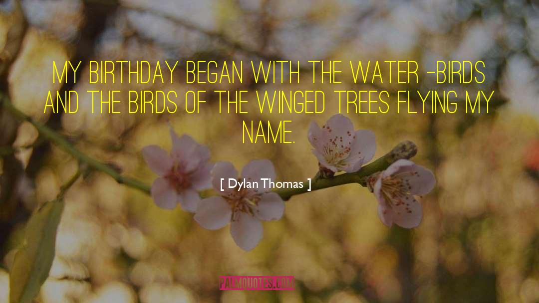 Dylan Thomas Quotes: My birthday began with the