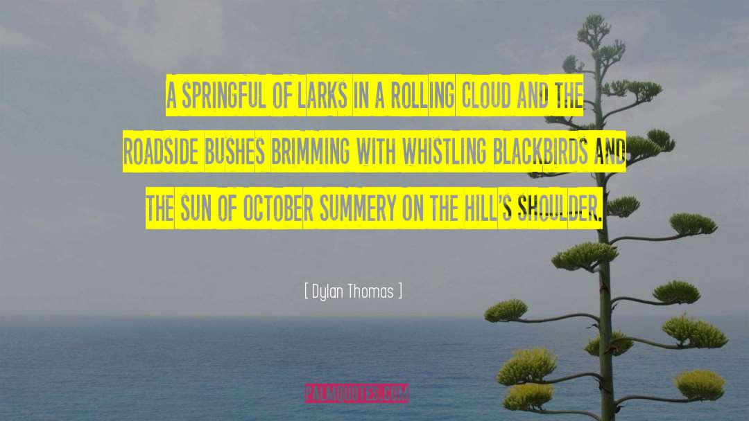 Dylan Thomas Quotes: A springful of larks in