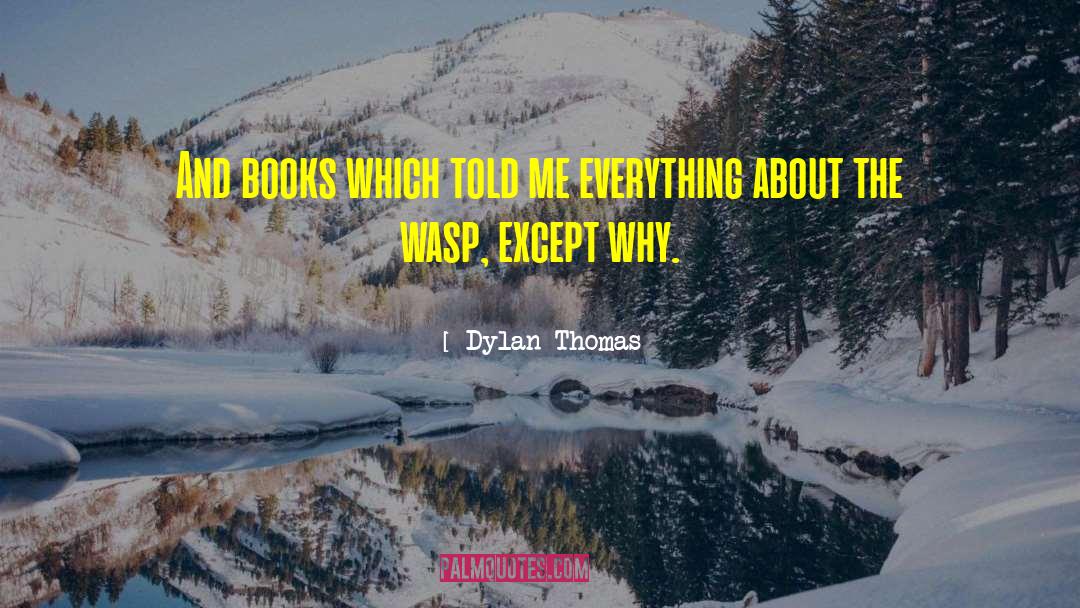 Dylan Thomas Quotes: And books which told me