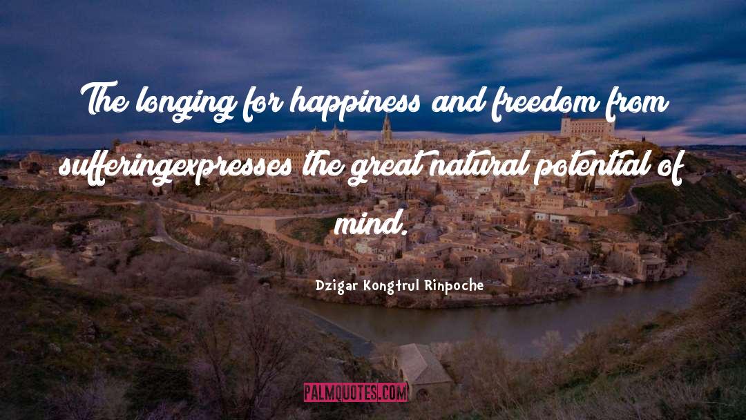 Dzigar Kongtrul Rinpoche Quotes: The longing for happiness and