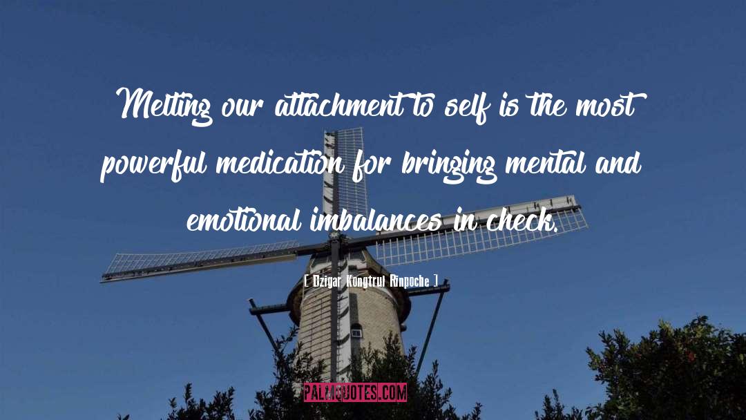 Dzigar Kongtrul Rinpoche Quotes: Melting our attachment to self