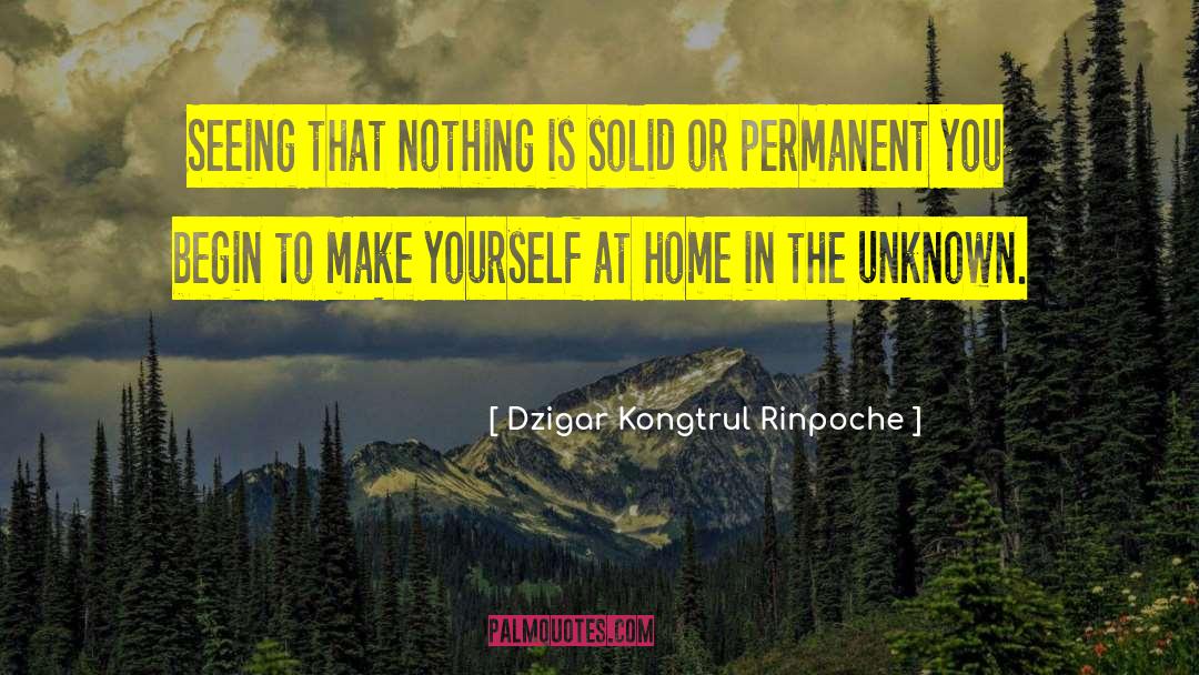 Dzigar Kongtrul Rinpoche Quotes: Seeing that nothing is solid