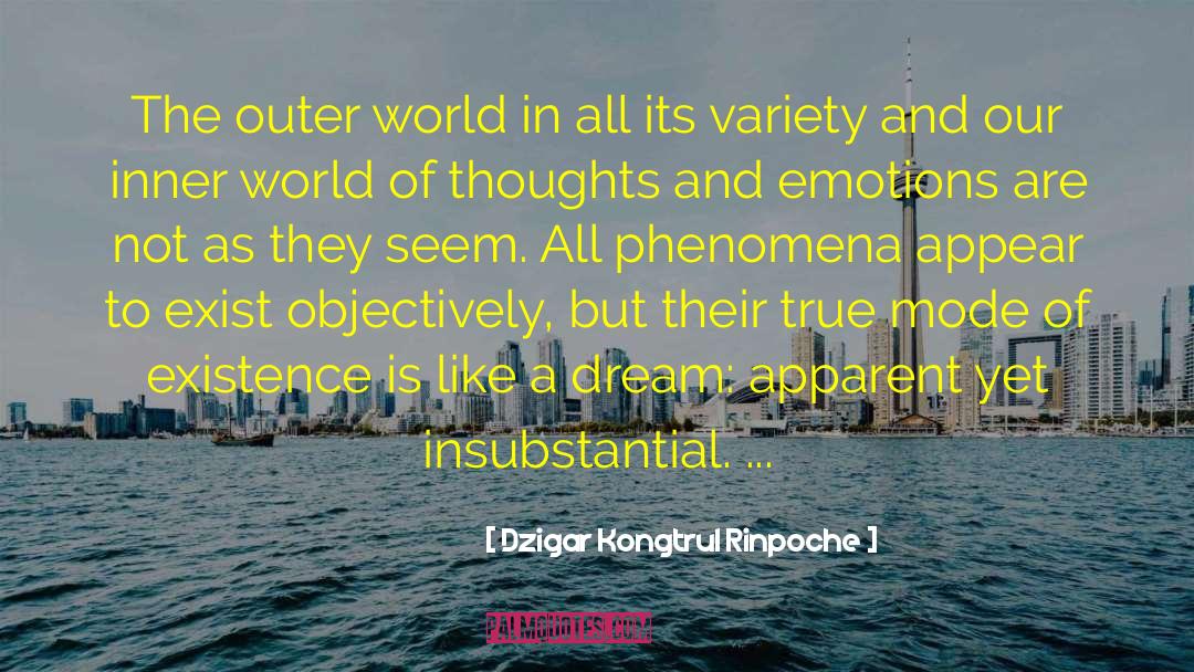 Dzigar Kongtrul Rinpoche Quotes: The outer world in all