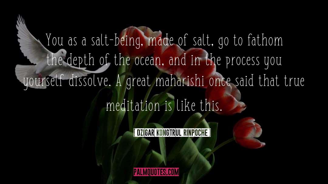 Dzigar Kongtrul Rinpoche Quotes: You as a salt-being, made