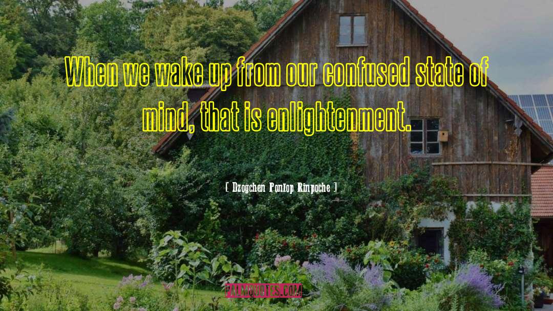 Dzogchen Ponlop Rinpoche Quotes: When we wake up from