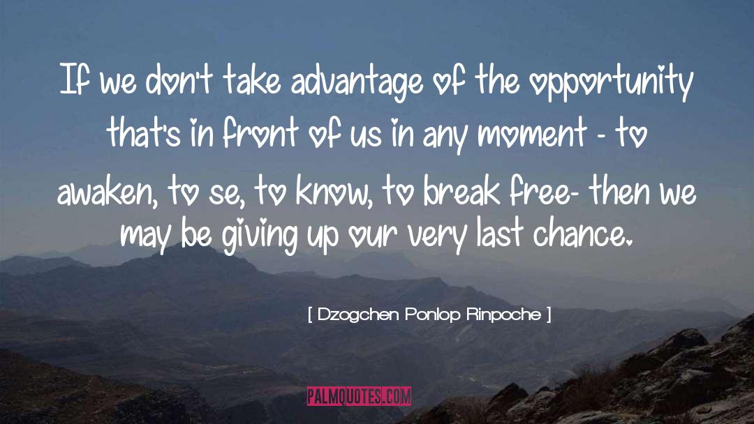 Dzogchen Ponlop Rinpoche Quotes: If we don't take advantage