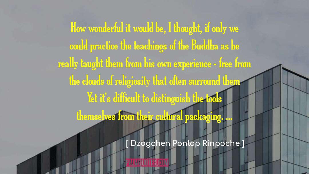 Dzogchen Ponlop Rinpoche Quotes: How wonderful it would be,