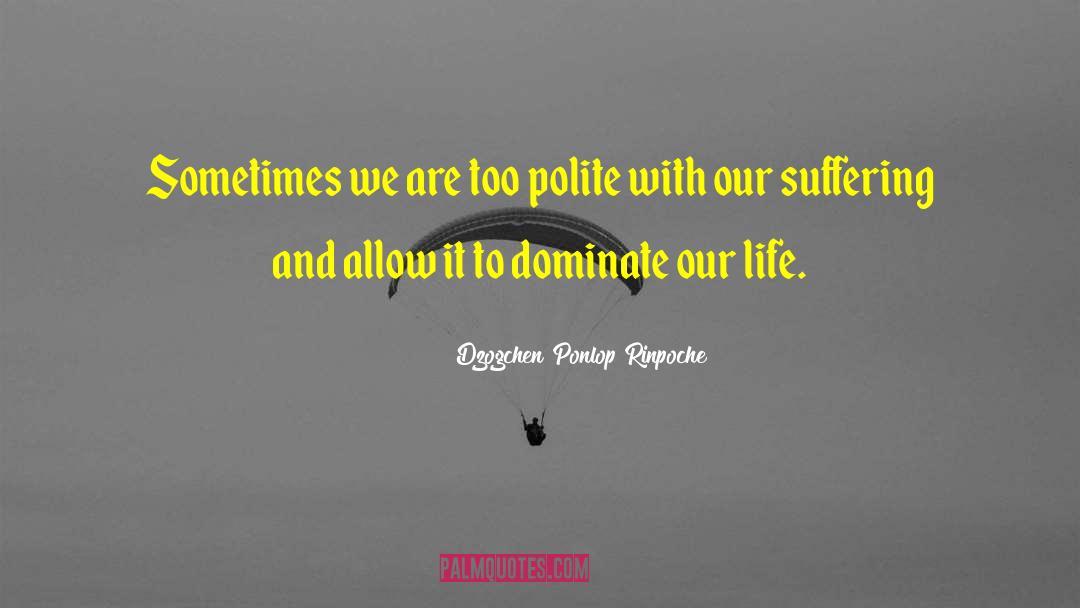 Dzogchen Ponlop Rinpoche Quotes: Sometimes we are too polite
