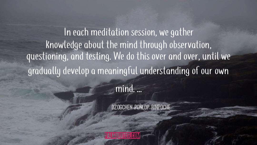 Dzogchen Ponlop Rinpoche Quotes: In each meditation session, we