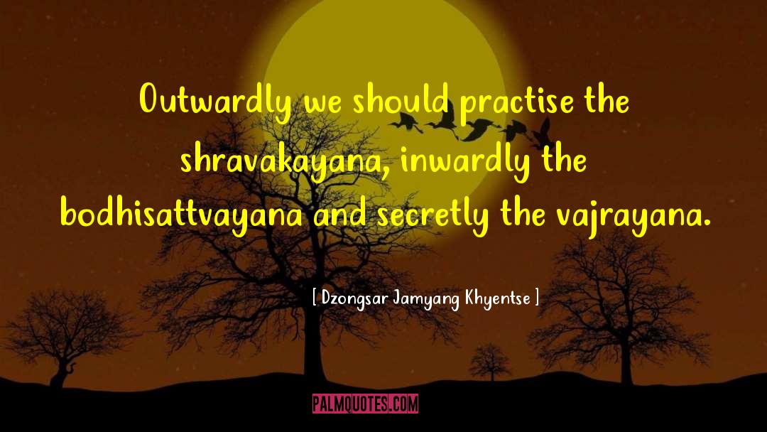 Dzongsar Jamyang Khyentse Quotes: Outwardly we should practise the