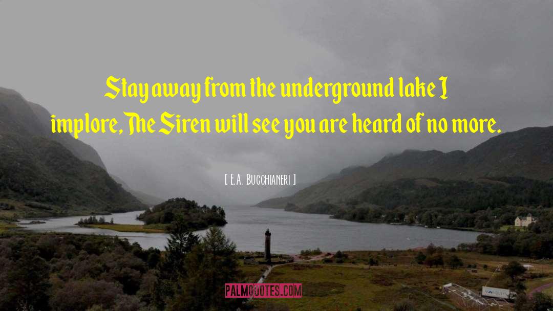 E.A. Bucchianeri Quotes: Stay away from the underground