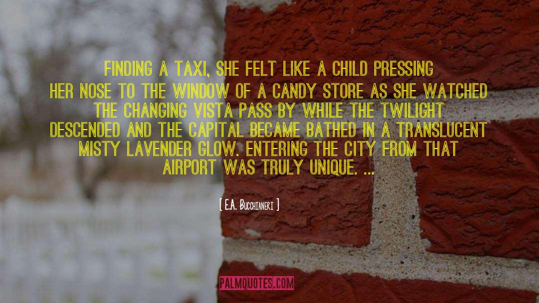 E.A. Bucchianeri Quotes: Finding a taxi, she felt