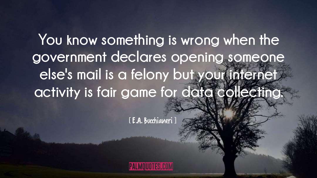 E.A. Bucchianeri Quotes: You know something is wrong