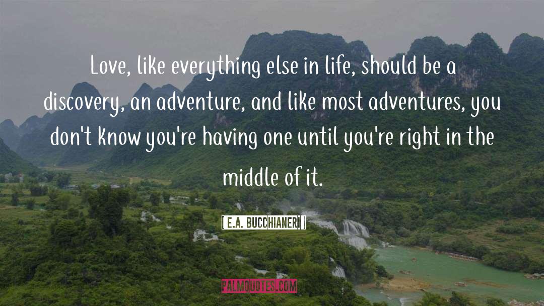 E.A. Bucchianeri Quotes: Love, like everything else in