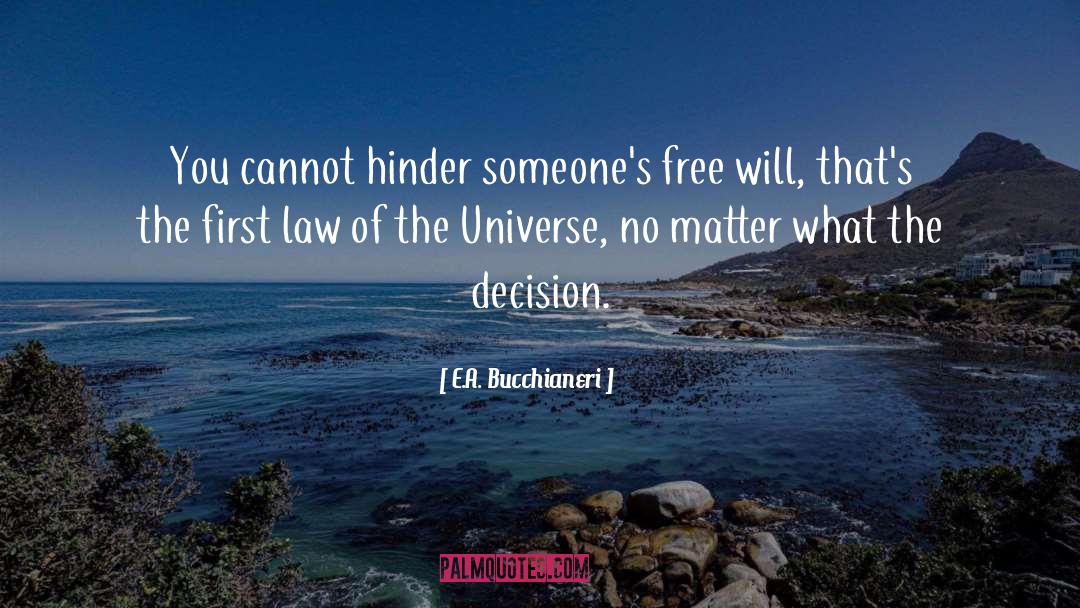 E.A. Bucchianeri Quotes: You cannot hinder someone's free