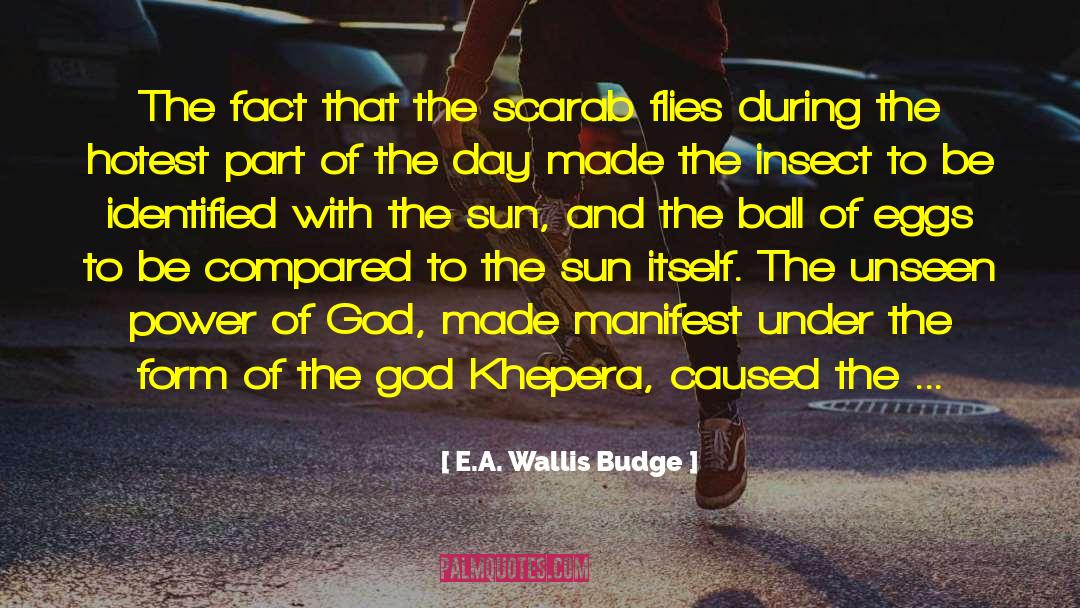 E.A. Wallis Budge Quotes: The fact that the scarab