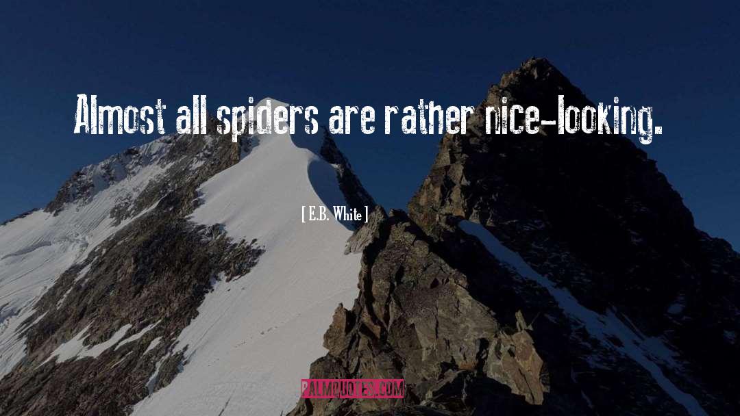 E.B. White Quotes: Almost all spiders are rather